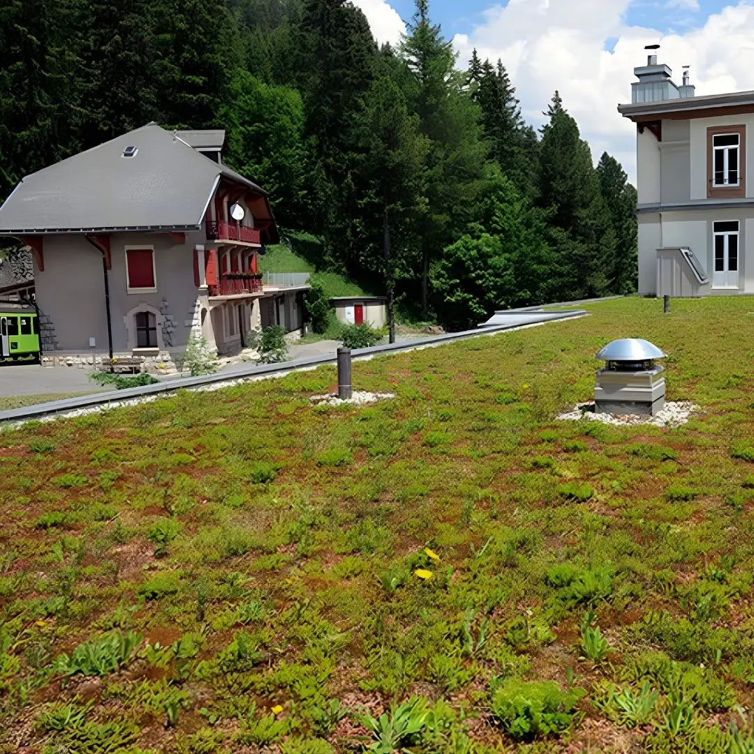 toiture vegetalisee en suisse